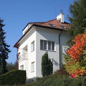 Pension Filip